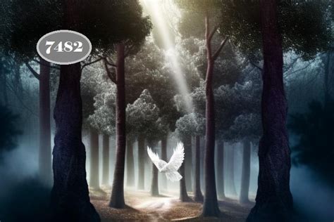 7482 Angel Number Meaning: Decoding The Spiritual Message.